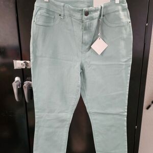 Chico's Platinum Jeggings